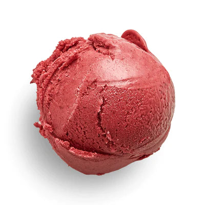 Marionberry Coconut Sherbet (v)