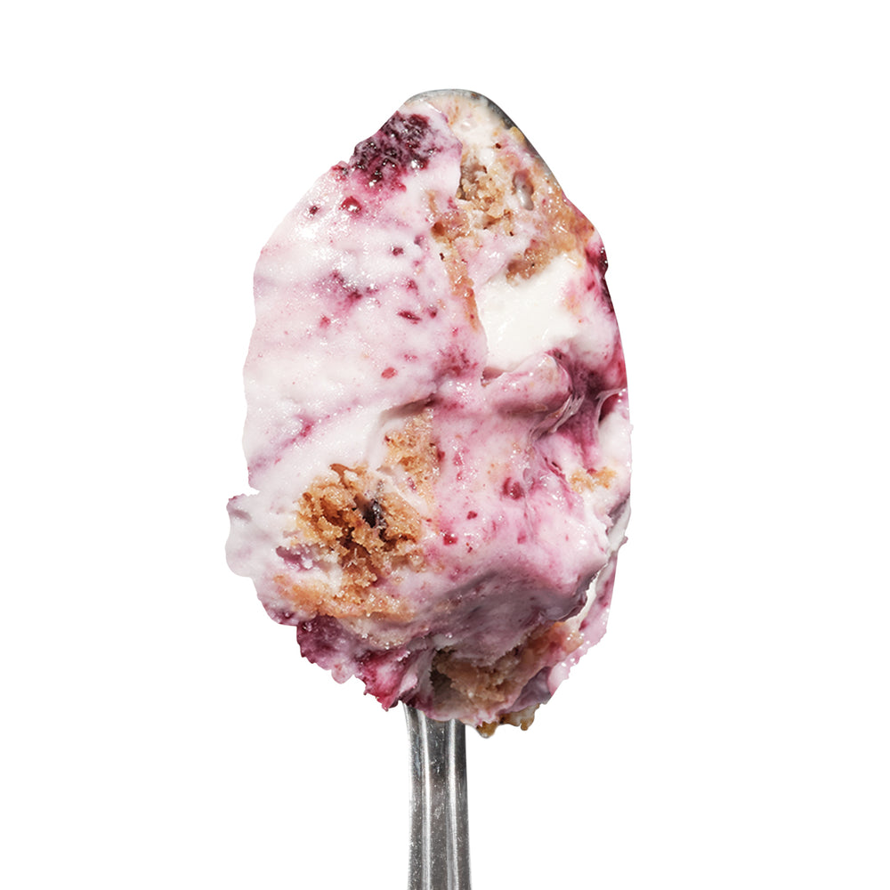 GoNanas Banana Blueberry Crumble (v)