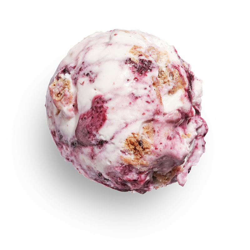 GoNanas Banana Blueberry Crumble (v)