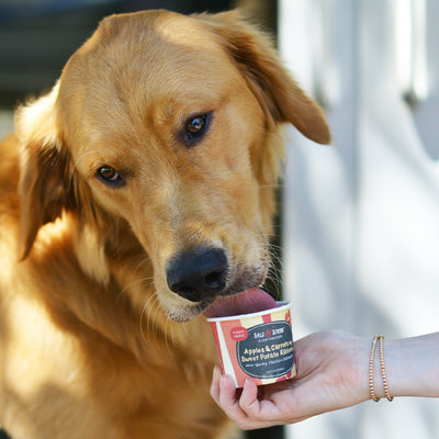 Pup Cups