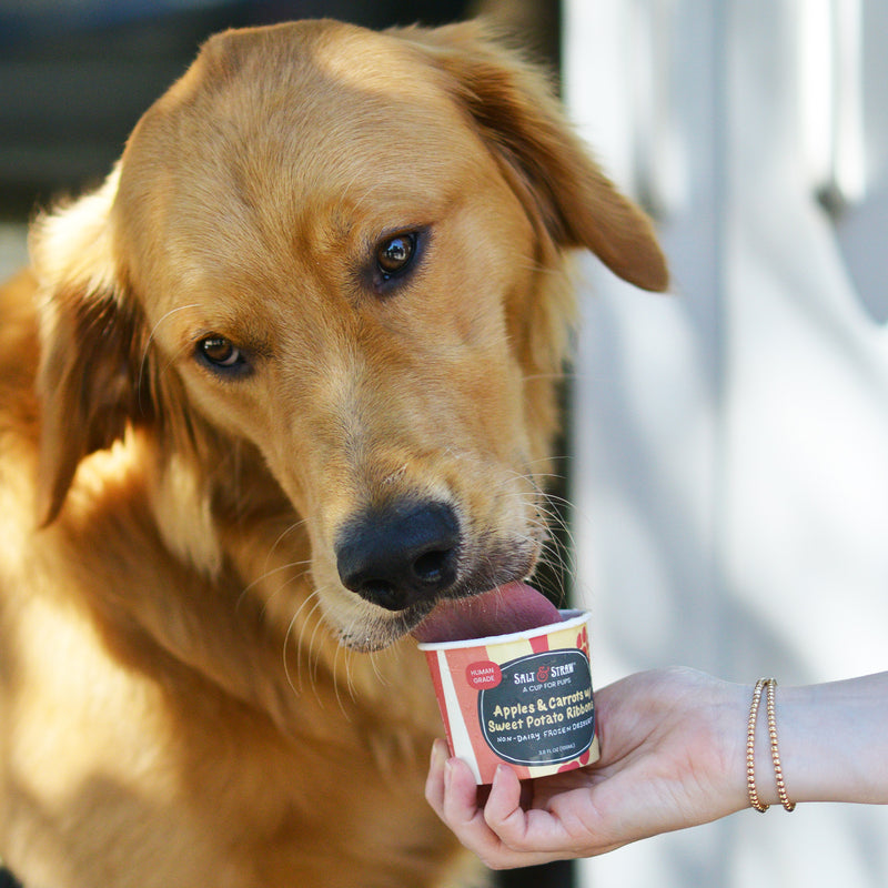 Pup Cups