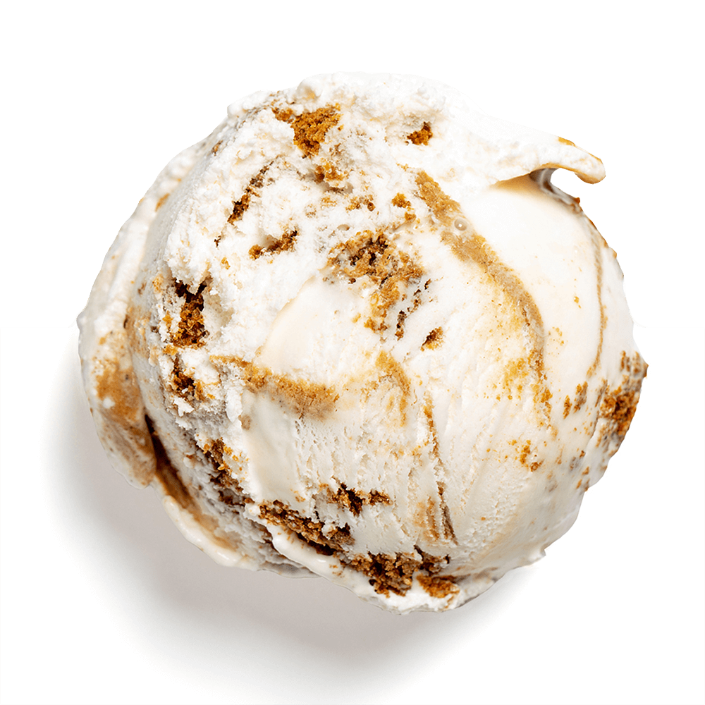 Gingerbread Cookie Dough