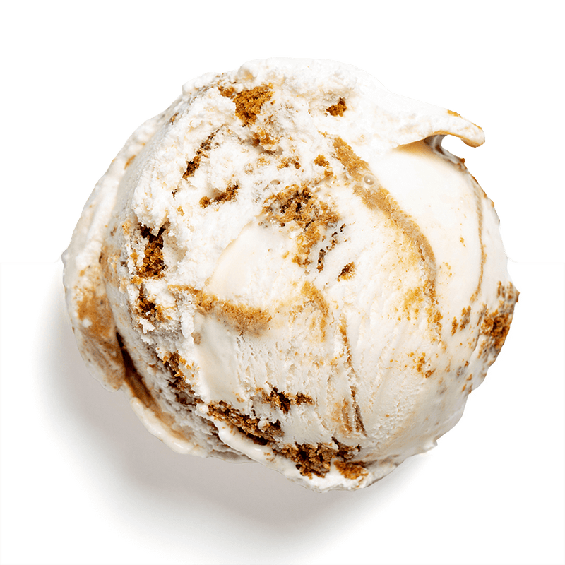 Gingerbread Cookie Dough