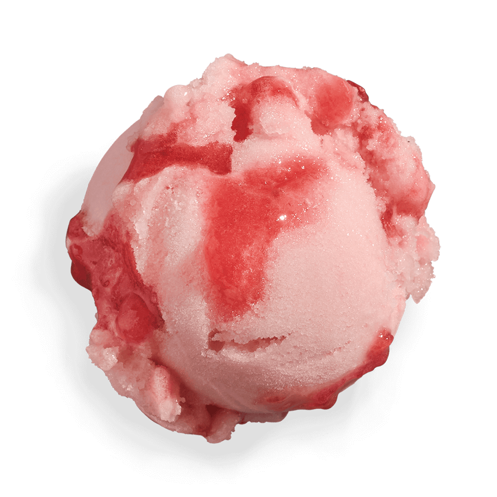 Pink Rosé and Watermelon Sorbet (v)