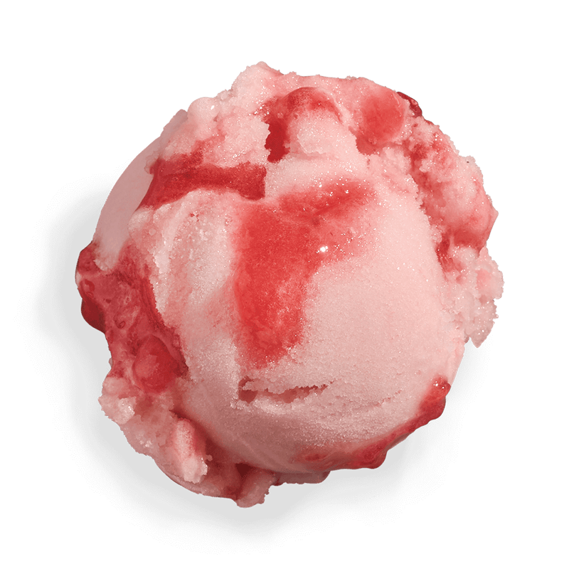 Pink Rosé and Watermelon Sorbet (v)