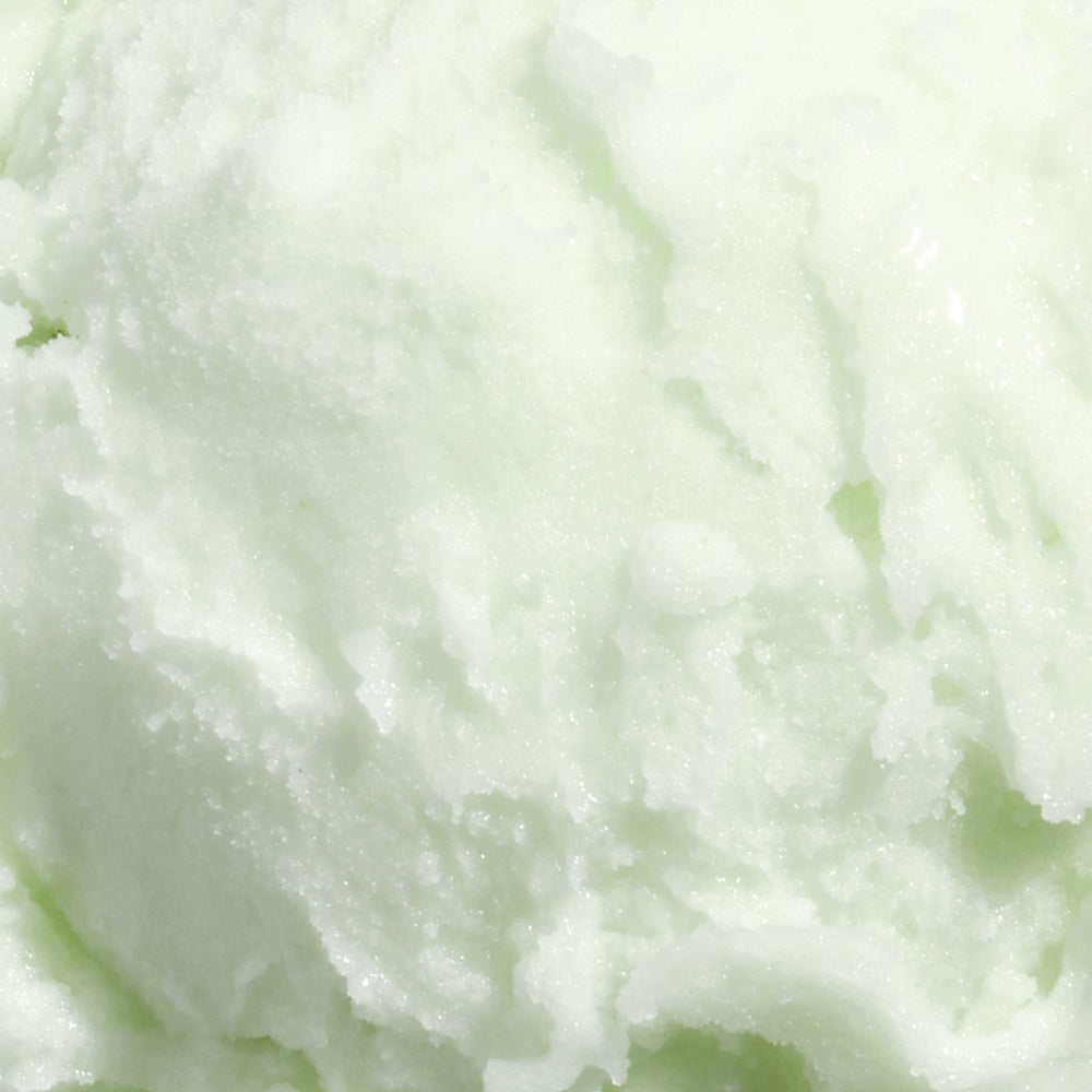 Pickled Cucumber Sorbet (v)