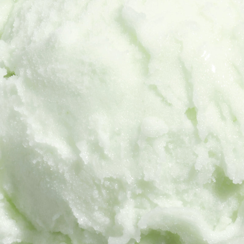 Pickled Cucumber Sorbet (v)