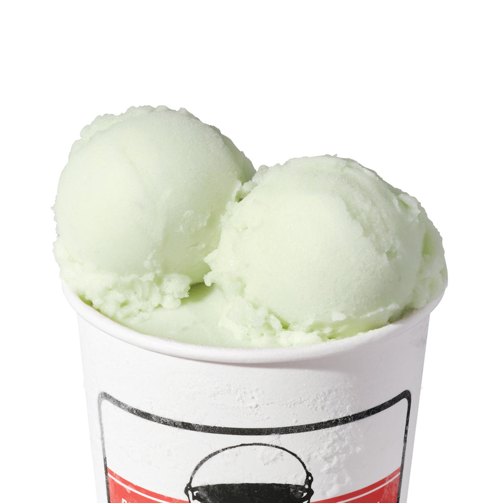 Pickled Cucumber Sorbet (v)