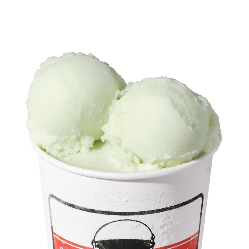 Pickled Cucumber Sorbet (v)