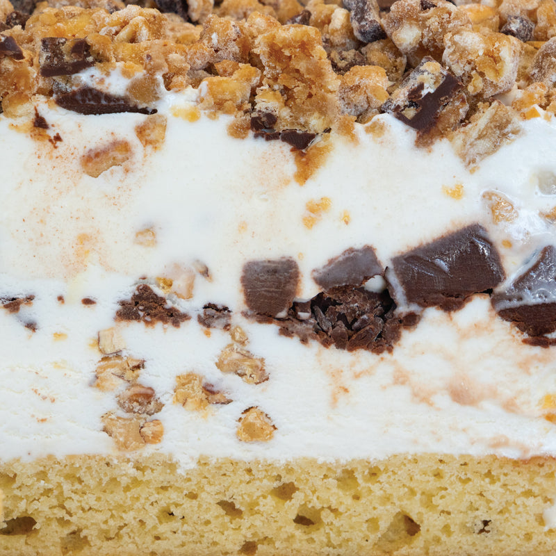 Salt and Straw Holiday Almond Brittle Ice Cream Cake Layers Texture