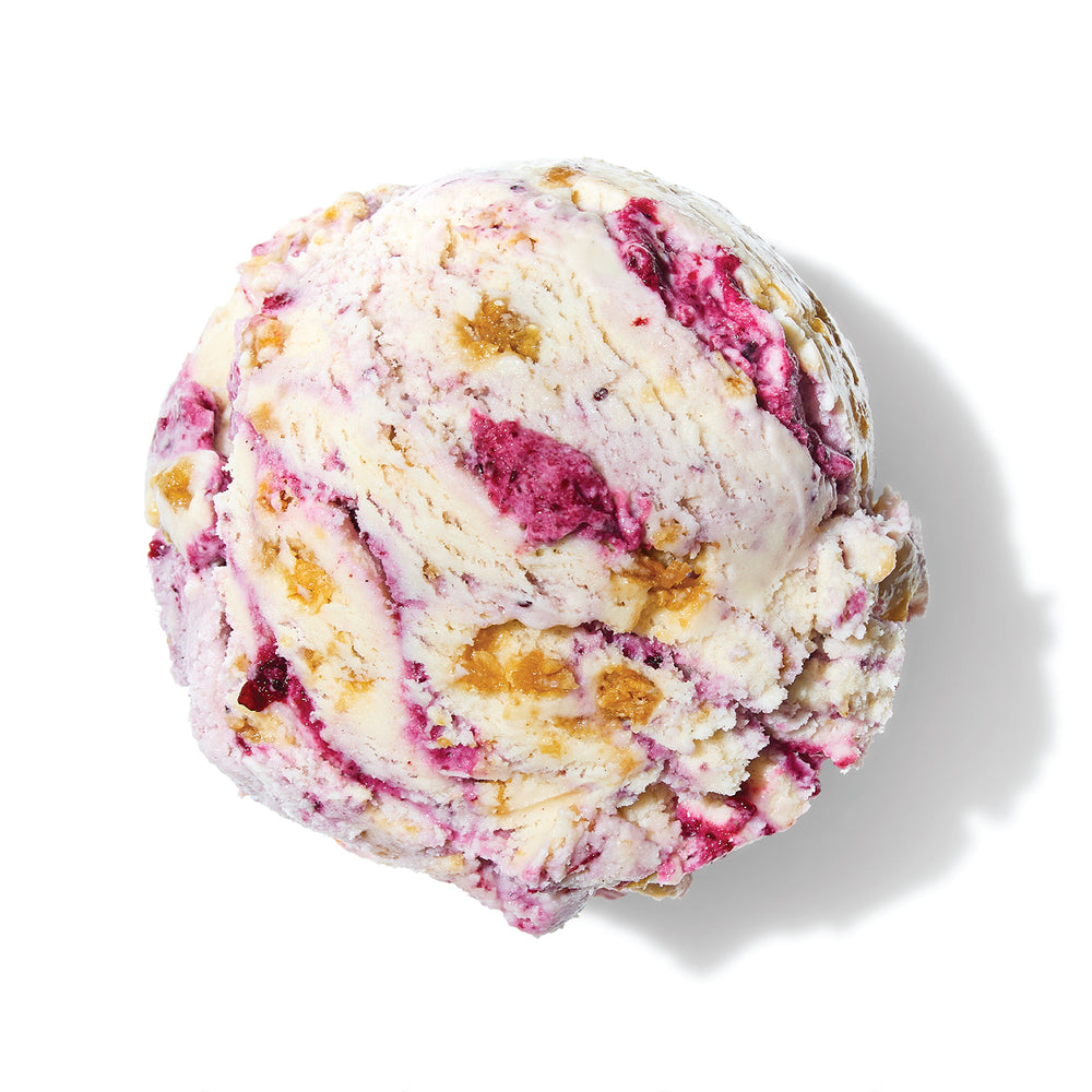 Huckleberry Oat Crisp with Foraged Porcini