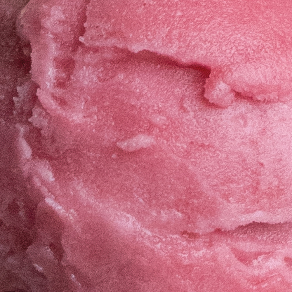 Cranberry Orange Sorbet Vegan