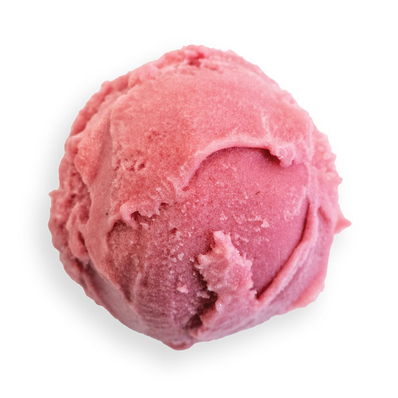 Cranberry Orange Sorbet Vegan Scoop