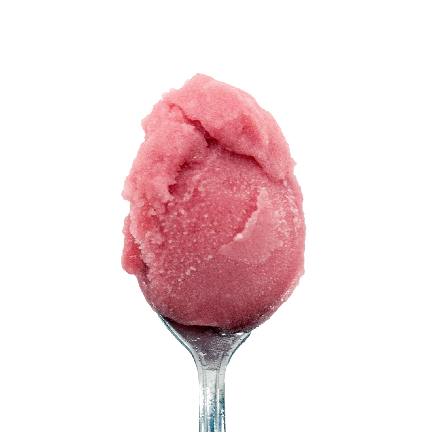 Cranberry Orange Sorbet Vegan | Salt & Straw