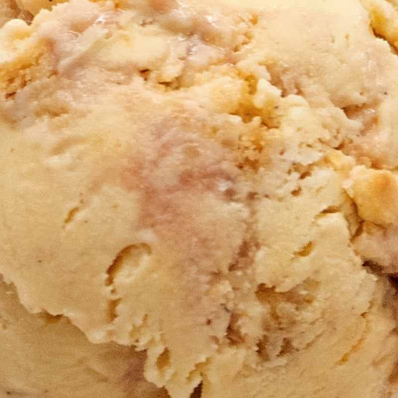 Maple Koginut Squash with Pomegranate Ice Cream