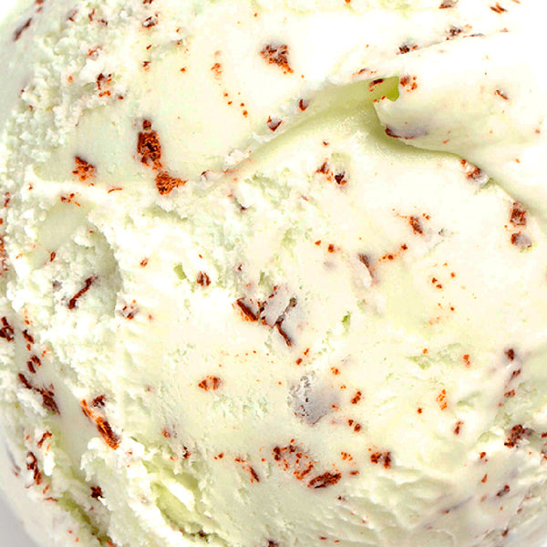 Freckled Mint Chocolate Chip Vegan Ice Cream | Salt & Straw