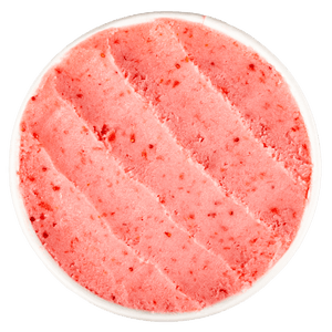 Strawberry & Coconut Water Sherbet (v)